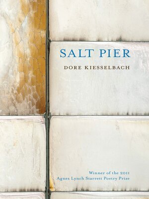 cover image of Salt Pier